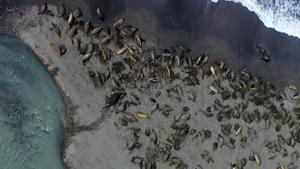 Relacionada g6ozwlax0aax76y.jpg