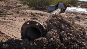 Relacionada whatsapp-image-2025-11-26-at-114109.jpg