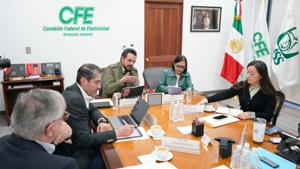 Relacionada cfe-imss.jpg