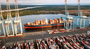 Relacionada exportacion.jpg