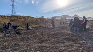 Relacionada pxl_20251127_151221071.jpg