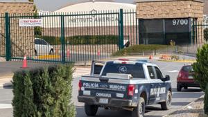 Relacionada inshot_20251127_122836276.jpg