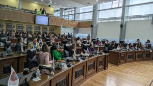 Relacionada whatsapp-image-2025-11-27-at-125401.jpg