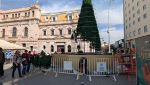 Relacionada inshot_20251127_131326576.jpg