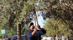 Relacionada descarga-33.jpg