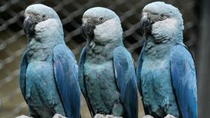 Relacionada 4698d62dd2046aa26cb9b35ef3bc868c.jpg