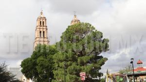 Relacionada whatsapp-image-2025-11-28-at-134008.jpg