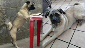 Relacionada whatsapp-image-2025-11-28-at-10311-pm.jpg