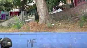 Relacionada reportero-culiacan.jpg