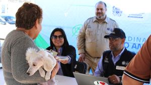 Relacionada agsdf.jpg