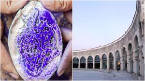 Relacionada fotojet-9.jpg