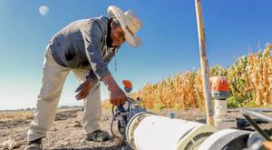 Relacionada agua-campo.jpg