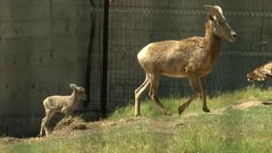 Relacionada snapshot.jpg