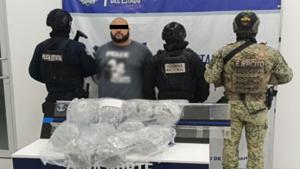 Relacionada 291125_chihuahua_02.jpg