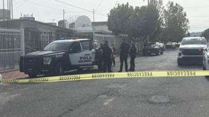 Relacionada inshot_20251201_133450925.jpg