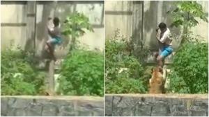 Relacionada fotojet-6.jpg