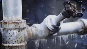 Relacionada screenshot-2025-12-01-155926-1.jpg