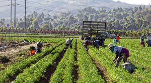 Relacionada migrantes.jpg