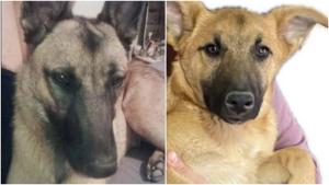 Relacionada fotojet-1.jpg