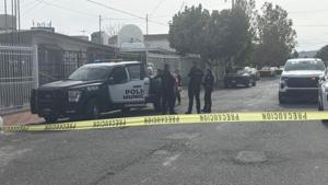 Relacionada principal_inshot_20251201_133450925.jpg