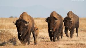 Relacionada 593284563_1280152310810423_6268128289141442469_n.jpg