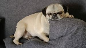 Relacionada whatsapp-image-2025-12-02-at-101942-am.jpg