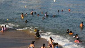 Relacionada 3427506.jpg