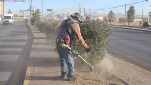 Relacionada limpieza-avenidas.jpg