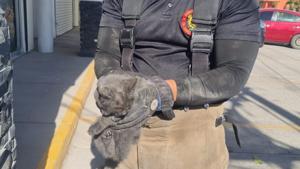 Relacionada whatsapp-image-2025-12-02-at-31153-pm.jpg