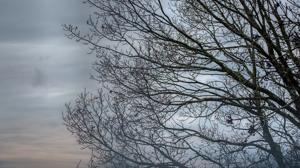 Relacionada frio.jpg