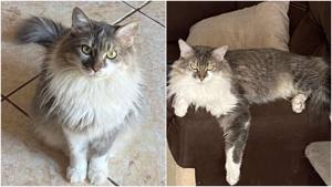 Relacionada fotojet.jpg