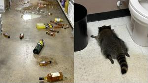 Relacionada fotojet-2.jpg