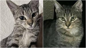 Relacionada fotojet-5.jpg