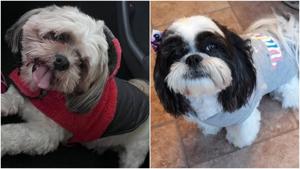 Relacionada fotojet-7.jpg