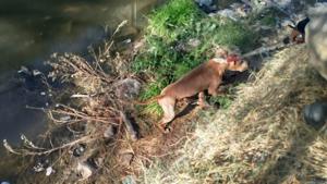 Relacionada whatsapp-image-2025-12-03-at-32636-pm.jpg