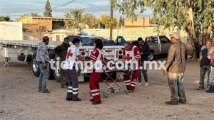 Relacionada 1000239854.jpg