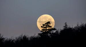 Relacionada luna.jpg