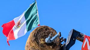 Relacionada pxl_20251204_1837288642.jpg