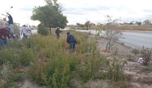 Relacionada whatsapp-image-2025-12-04-at-35821-pm.jpg