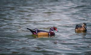 Relacionada whatsapp-image-2025-12-05-at-103001-am.jpg