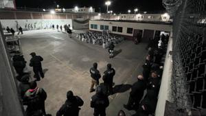 Relacionada inshot_20251205_114220596.jpg