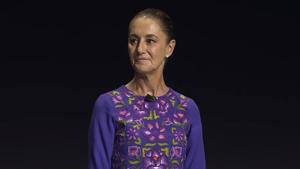 Relacionada captura-de-pantalla-2025-12-05-a-las-110036-am.jpg