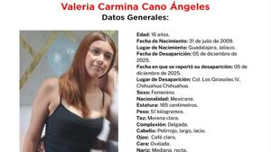 Relacionada 921dcdc2-59d1-44a5-9f47-18daa88ee9d5.jpg