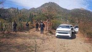 Relacionada 20531.jpg