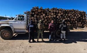 Relacionada 20626.jpg