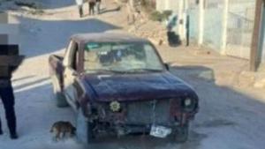 Relacionada dnload-28.jpg