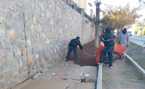 Relacionada whatsapp-image-2025-12-06-at-125423-pm.jpg