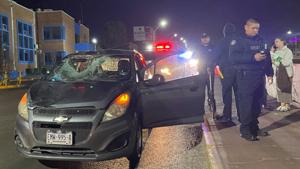 Relacionada img_8215.jpg