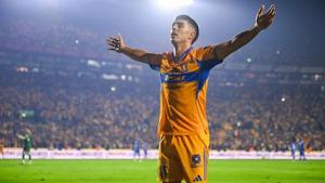 Relacionada tigres-a-final.jpg