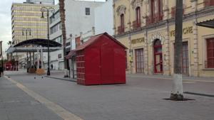 Relacionada pxl_20251204_145612867mp.jpg